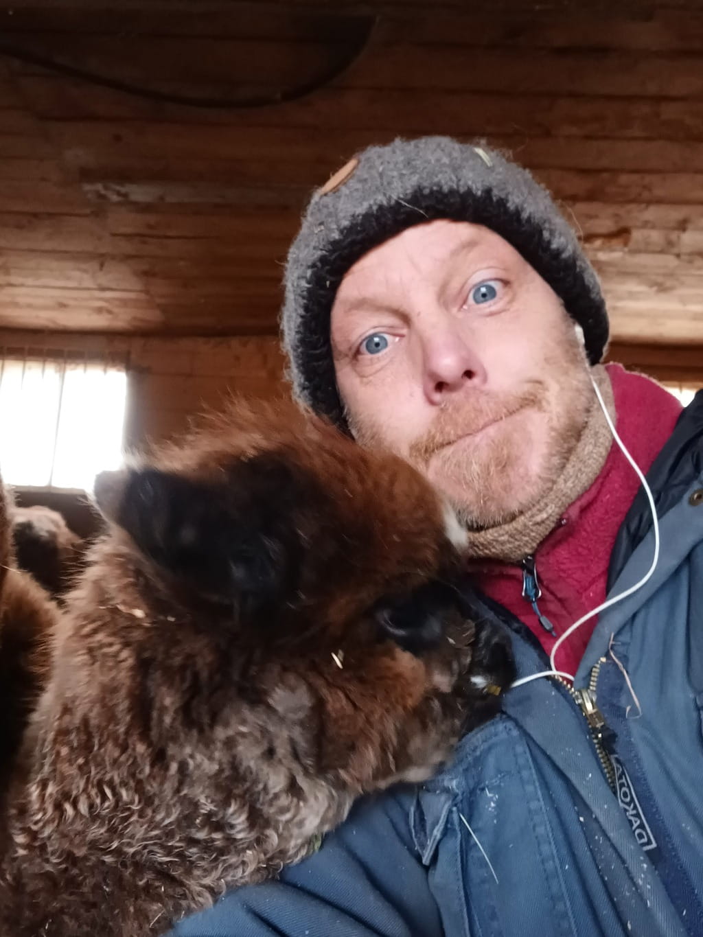 Nicolas Chabot, le propriétaire de la ferme Fibres & compagnie